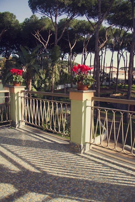 Double Room Balcony